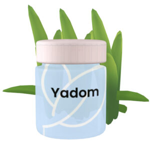 Yadom Coco – Évasion tropicale et bien-être