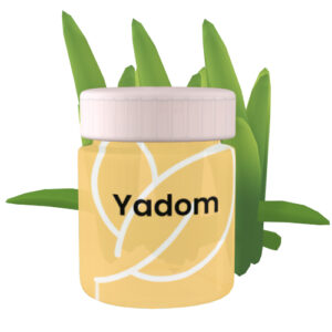 Yadom Clou de Girofle – Parfum chaud, effet apaisant
